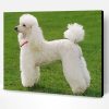 Poodle Dog Paint By Number