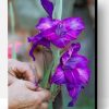 Purple Netted Iris Paint By Number