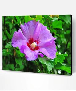 Purple Hibiscus Flower Paint By Number