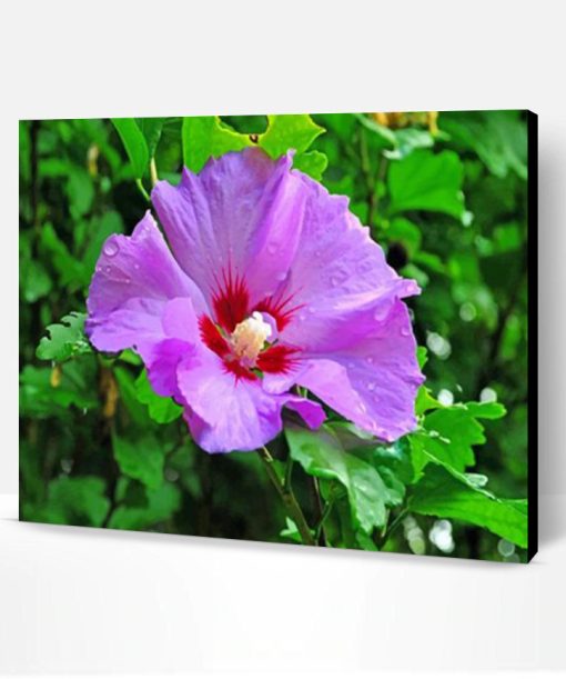 Purple Hibiscus Flower Paint By Number