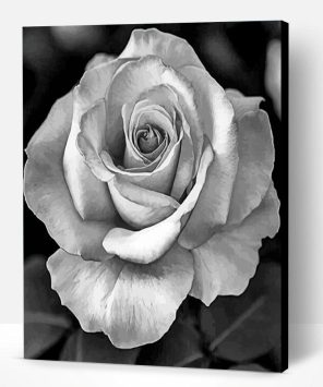 Realistic Roses Black And White Paint By Number