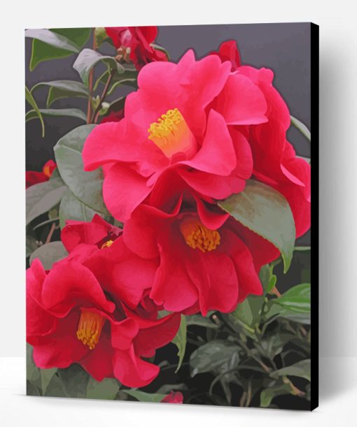 Red Camellia Paint By Number