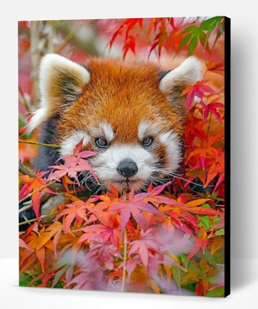 Red Panda And Leaves Paint By Number