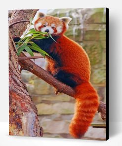 Red Panda On Tree Paint By Number