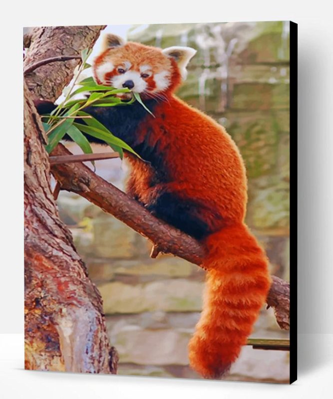 Red Panda On Tree Paint By Number