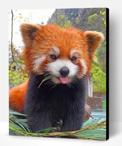 Red Panda Paint By Number