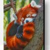 Red Panda Sleeping Paint By Number