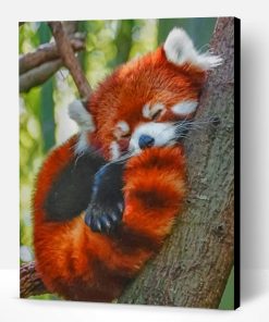 Red Panda Sleeping Paint By Number