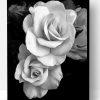 Black And White Roses Paint By Number