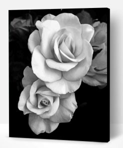 Black And White Roses Paint By Number