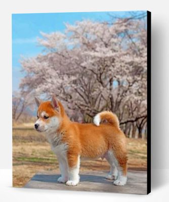 Sakura Shiba Inu Dog Paint By Number