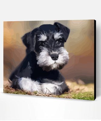 Schnauzer Pet Paint By Number