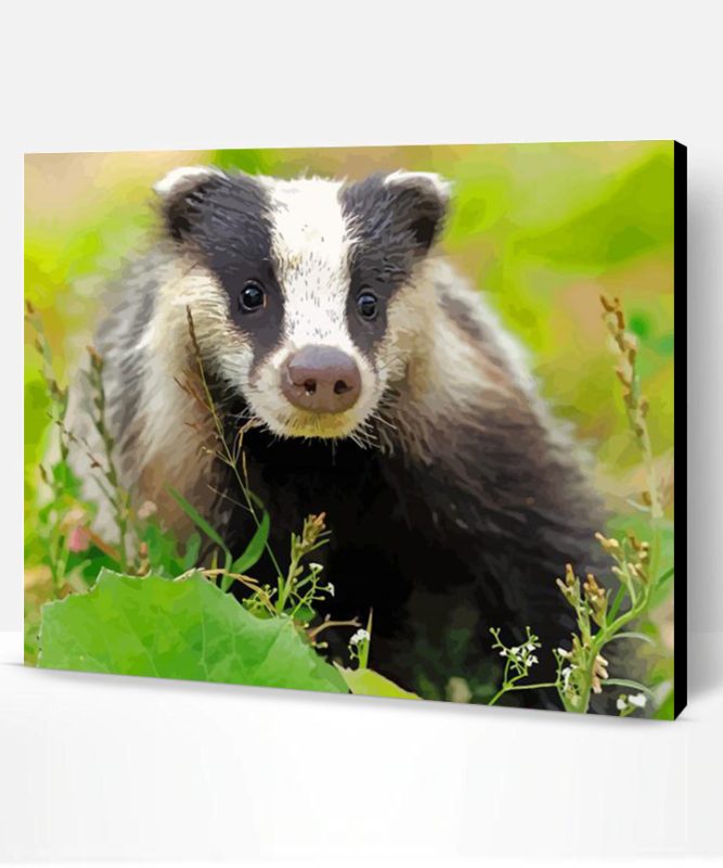 Scotland Badger Paint By Number