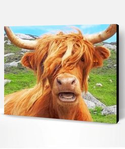 Scottish Highland Cow Paint By Number