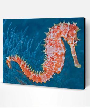 Seahorse Paint By Number