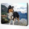 Sheltie Dog Animal Paint By Number