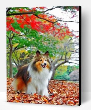 Sheltie Enjoying The Autumn Paint By Number