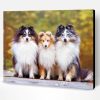Cute Shelties Dogs Paint By Number