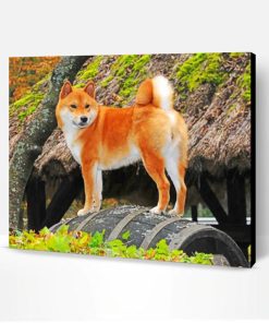 Shiba Inu Paint By Number