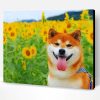 Shiba Inu In A Field Of Sunflowers Paint By Number