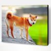 Shiba Inu Japanese Dog Paint By Number