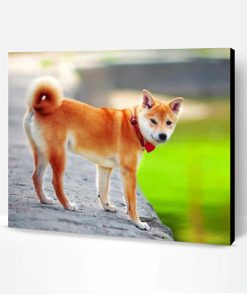 Shiba Inu Japanese Dog Paint By Number