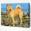 Shiba Inu Paint By Number