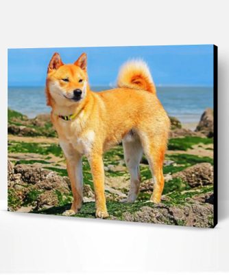 Shiba Inu Paint By Number