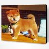 Shiba Inu Puppy Paint By Number