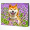 Smiling Shiba Inu Paint By Number