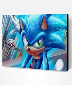 Sonic The Hedgehog Animation Paint By Number