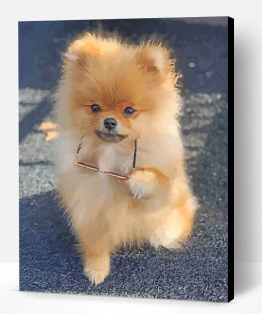 Stylish Pomeranian Paint By Number