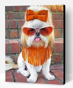 Stylish Shih Tzu Paint By Number