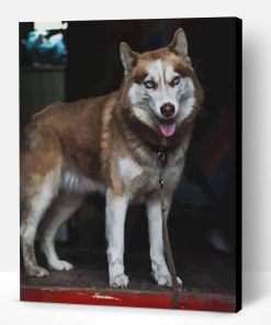 Tan Husky Paint By Number