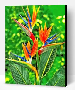 Bird Of Paradise Paint By Number