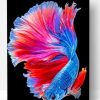 Tropical Betta Fish Paint By Number