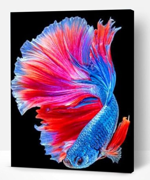 Tropical Betta Fish Paint By Number