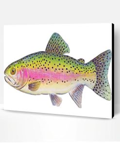 Trout Illustration Paint By Number