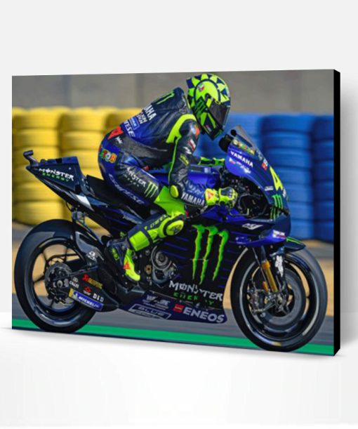 Valentino Rossi Le Mans Paint By Number