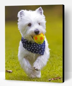 West Highland White Terrier Playing Paint By Number