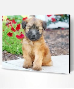 Wheaten Terrier Dog Paint By Number