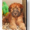 Wheaten Terrier Puppy Paint By Number