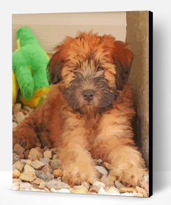 Wheaten Terrier Puppy Paint By Number