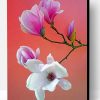 White And Pink Magnolia Flowers Paint By Number