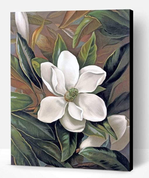 Magnolia Flower Paint By Number