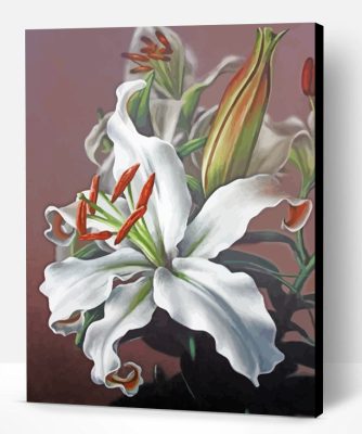 White Magnolia Paint By Number