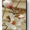 White Magnolia Flower Paint By Number