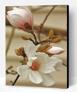 White Magnolia Flower Paint By Number