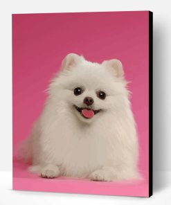 White Pomeranian Paint By Number