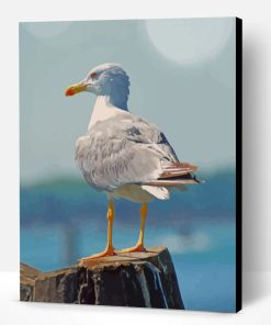 White Seagull Bird Paint By Number